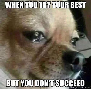 Crying dog meme used in workplace humor context