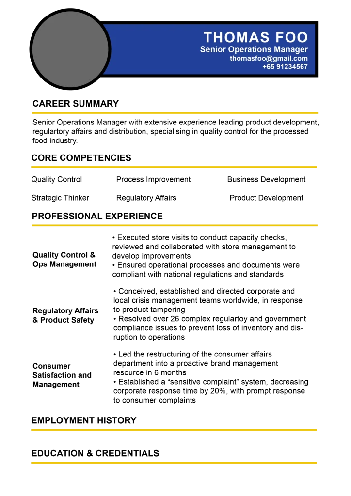 Functional resume template visual