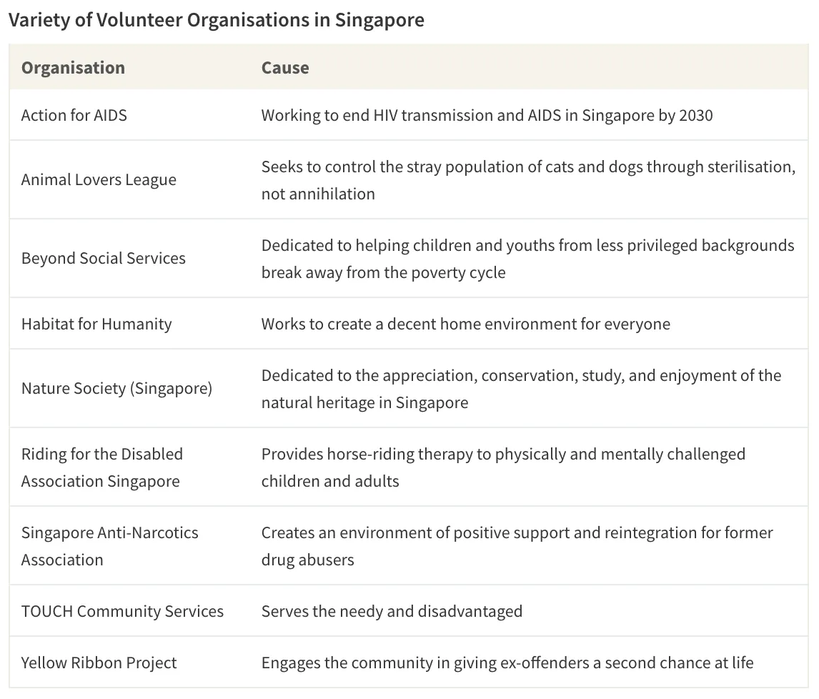 Volunteer organisations engagement visual