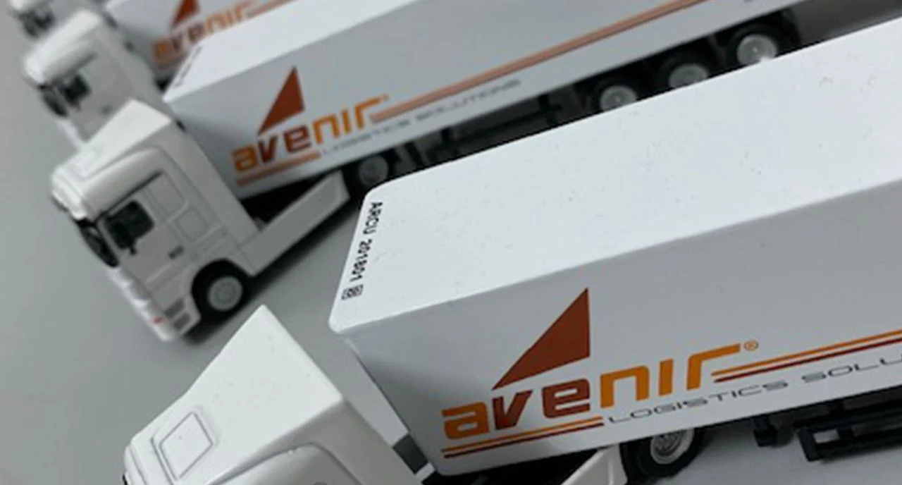 Article visual for Avenir career tips