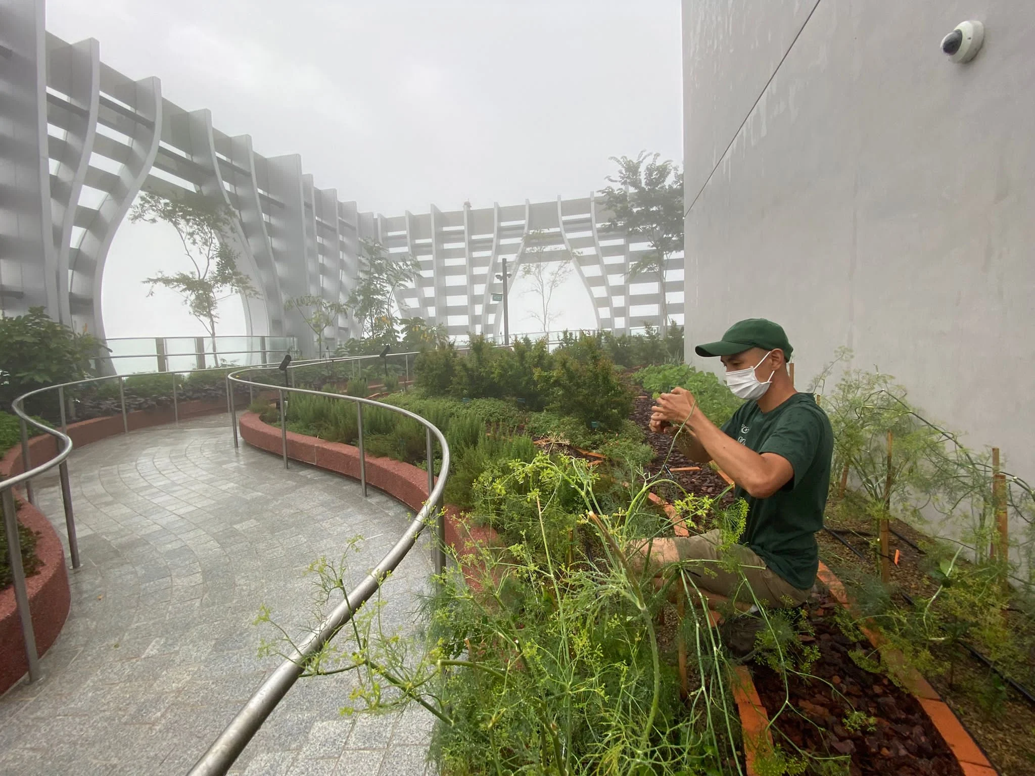 Engineer wiring a panel—hands-on tech role in action