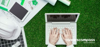 career in sustainability sector