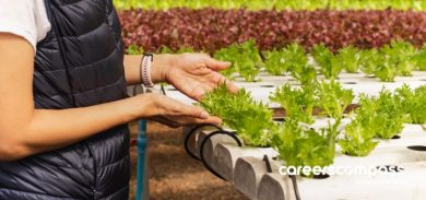 woman observing plants grown using hydroponics