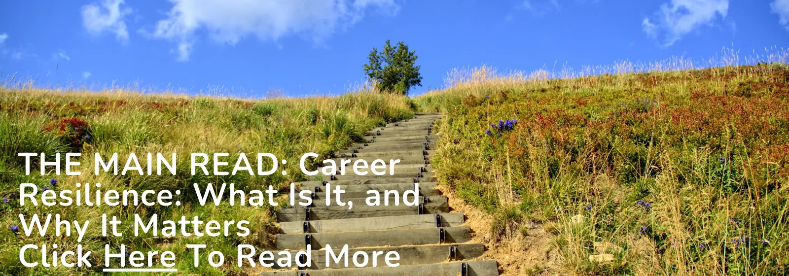 stairs leading up to a beautiful scenery, career resilience
