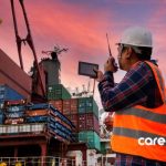 maritime worker looking at shipping containers