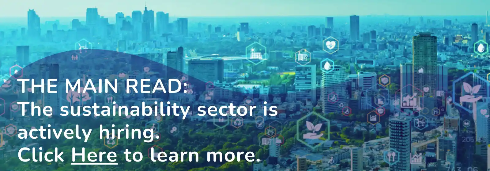 Main read banner - the sustainability sector is actively hiring