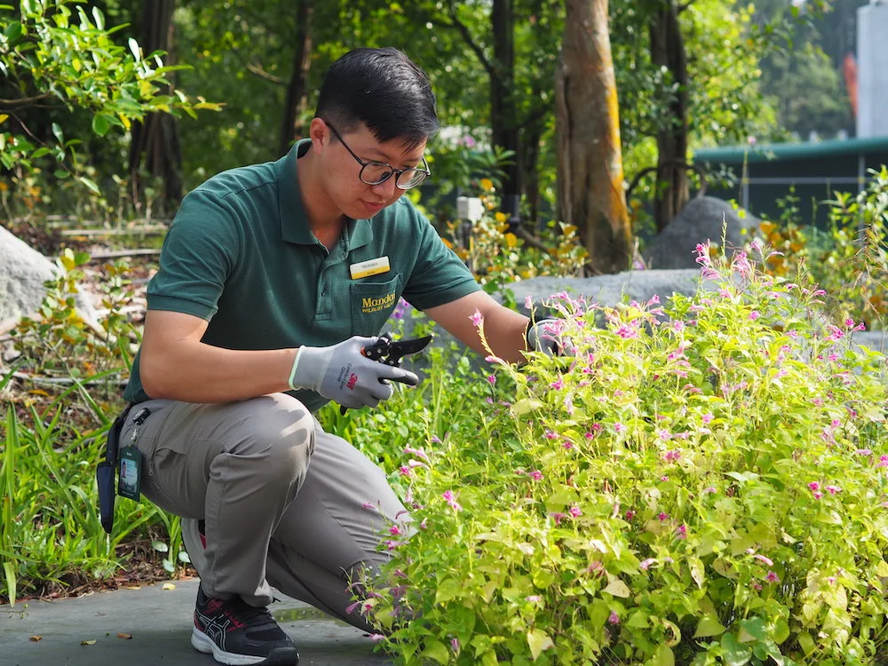 Nicholas smiling during a career feature photo, mandai rainforest