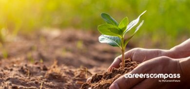 A woman planting a plant