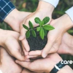 Sustainability changes for Singapore companies visual